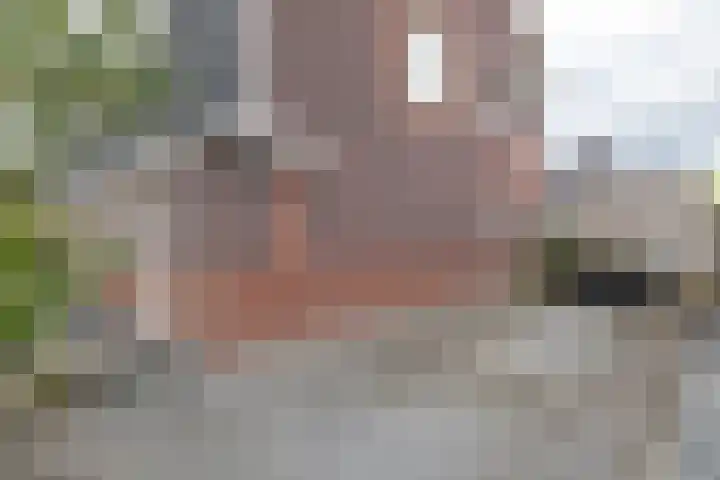 De Hartakker 15 Eelde thumbnail 47