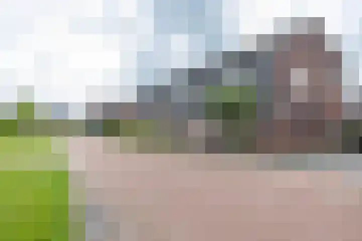 De Hartakker 15 Eelde thumbnail 48