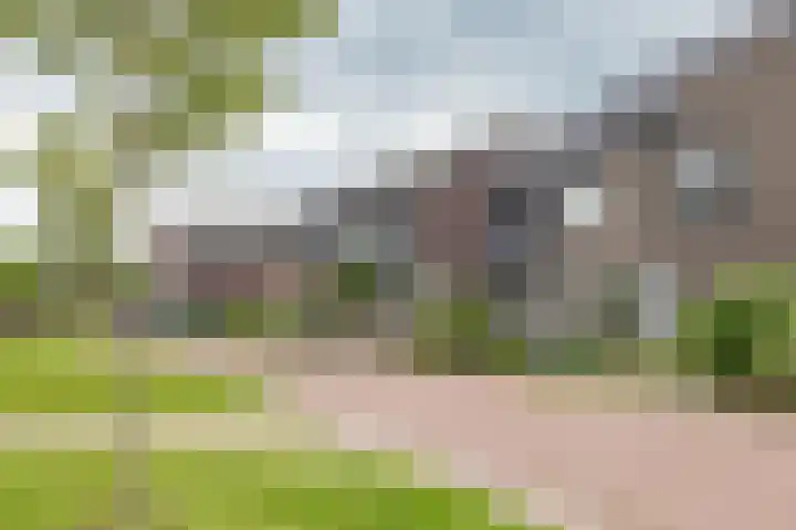 De Hartakker 15 Eelde thumbnail 49