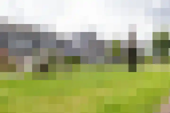 De Hartakker 15 Eelde thumbnail 50