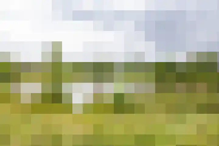 De Hartakker 15 Eelde thumbnail 52