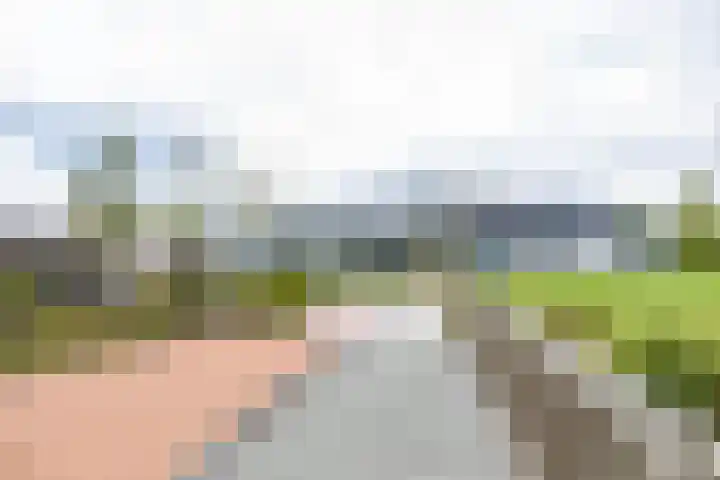De Hartakker 15 Eelde thumbnail 53