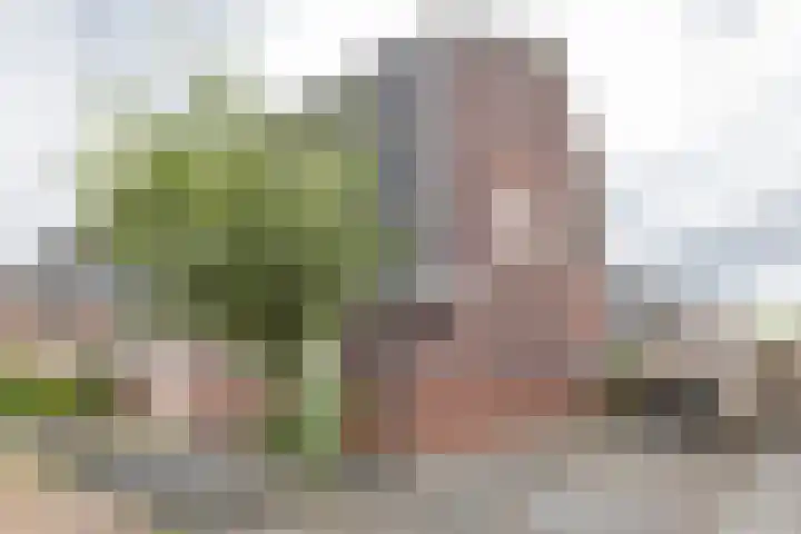 De Hartakker 15 Eelde thumbnail 55