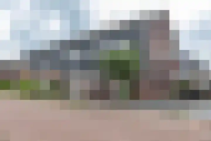 De Hartakker 15 Eelde thumbnail 6