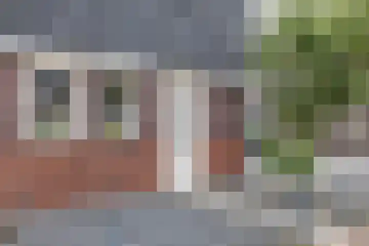 De Hartakker 15 Eelde thumbnail 8