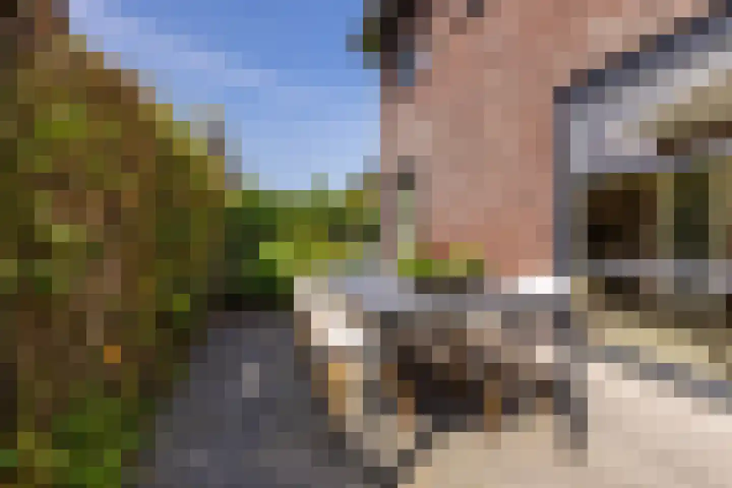 De Hartakker 3 Eelde thumbnail 11