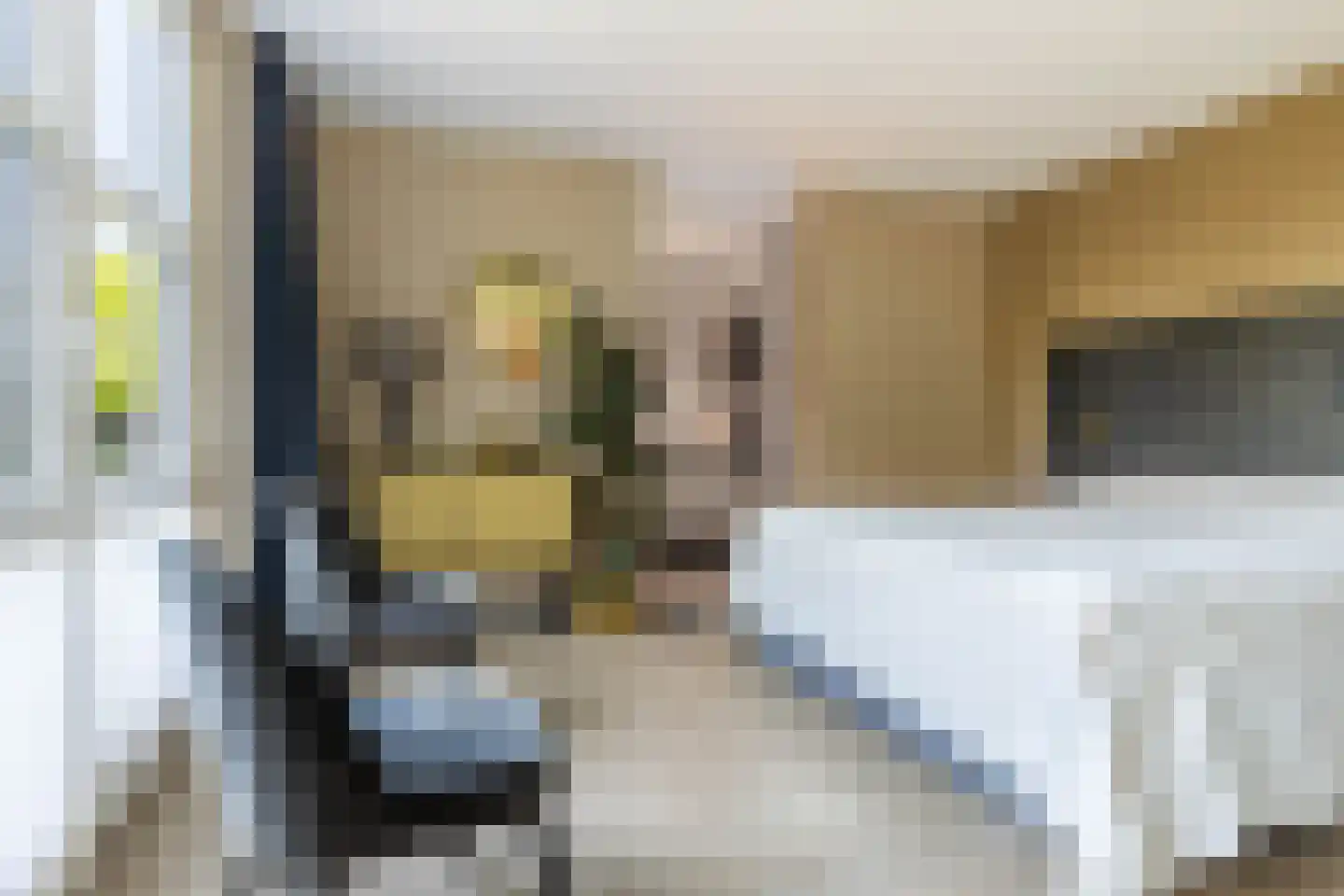 De Hartakker 3 Eelde thumbnail 30