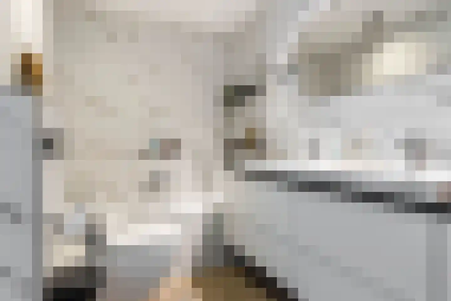 De Hartakker 3 Eelde thumbnail 32