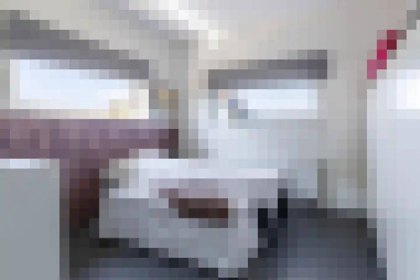 De Hartakker 3 Eelde thumbnail 38