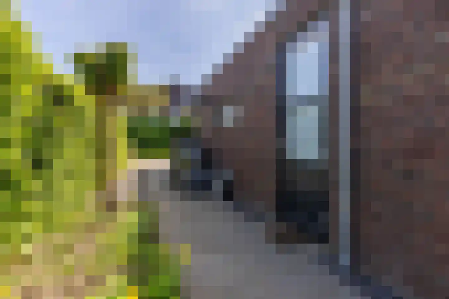 De Hartakker 3 Eelde thumbnail 4