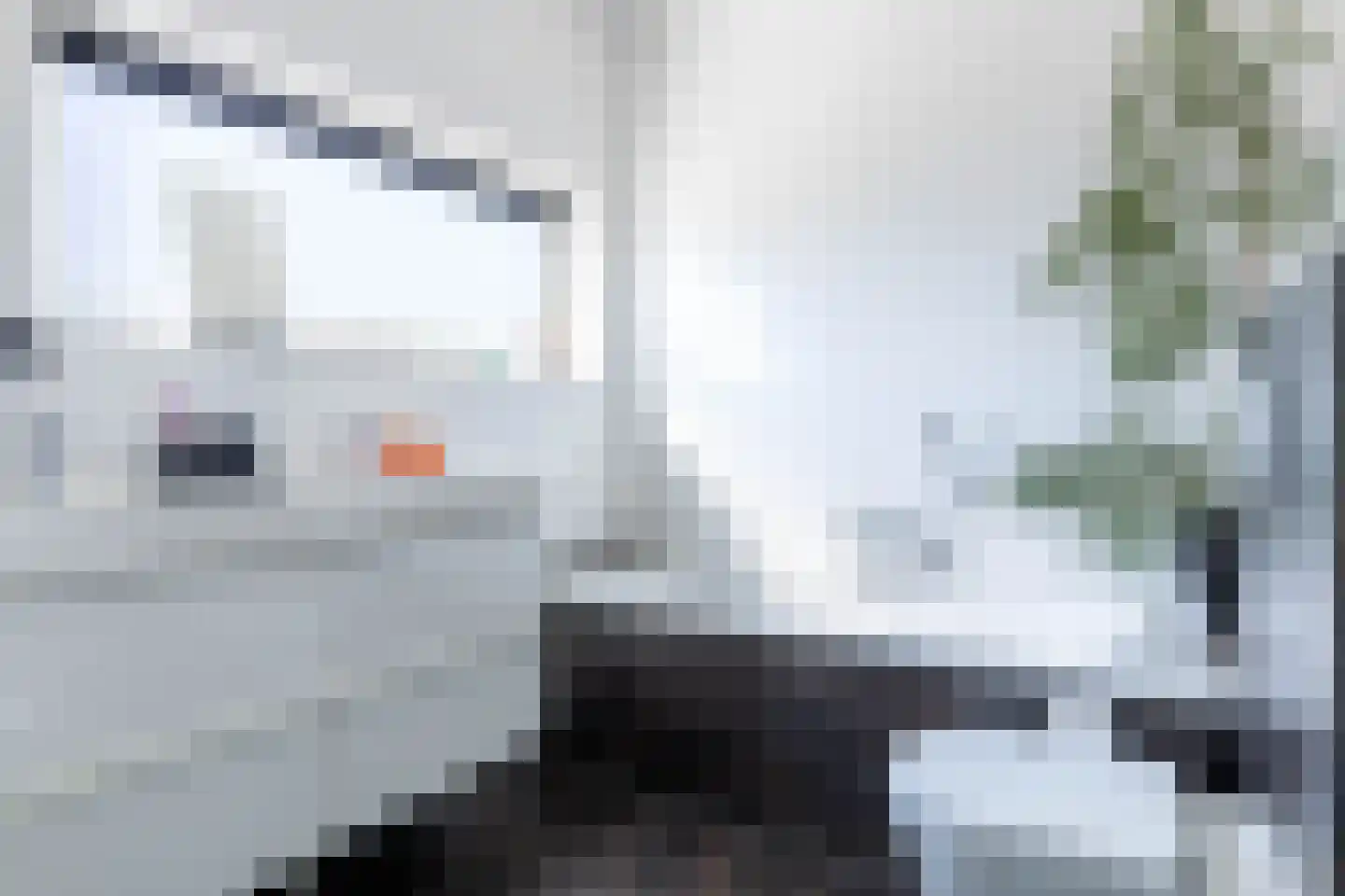 De Hartakker 3 Eelde thumbnail 41
