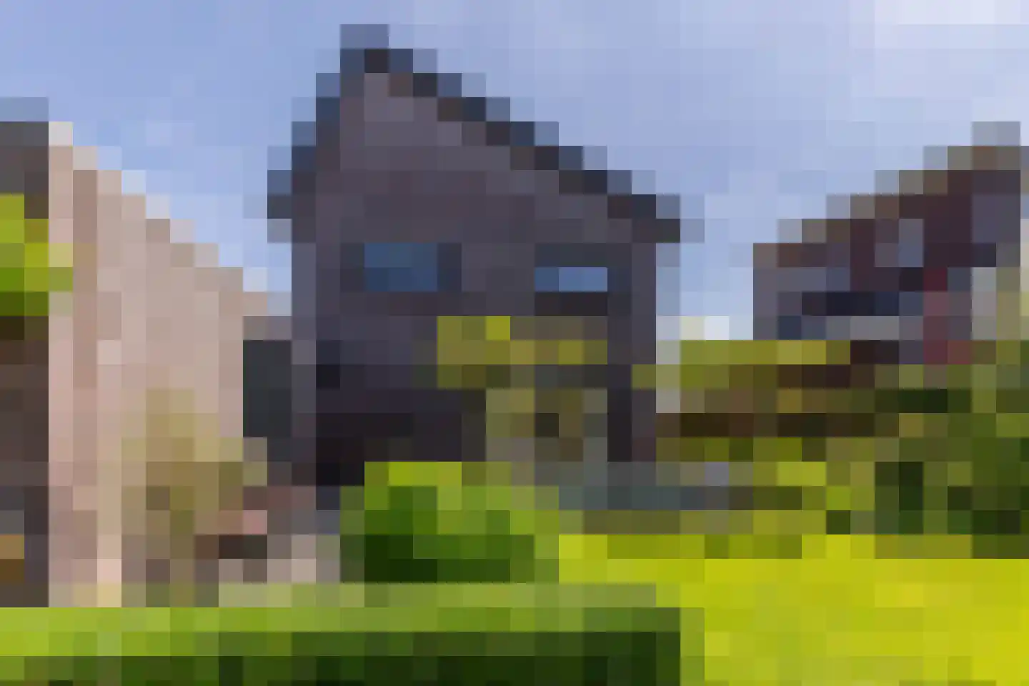 De Hartakker 3 Eelde thumbnail 6