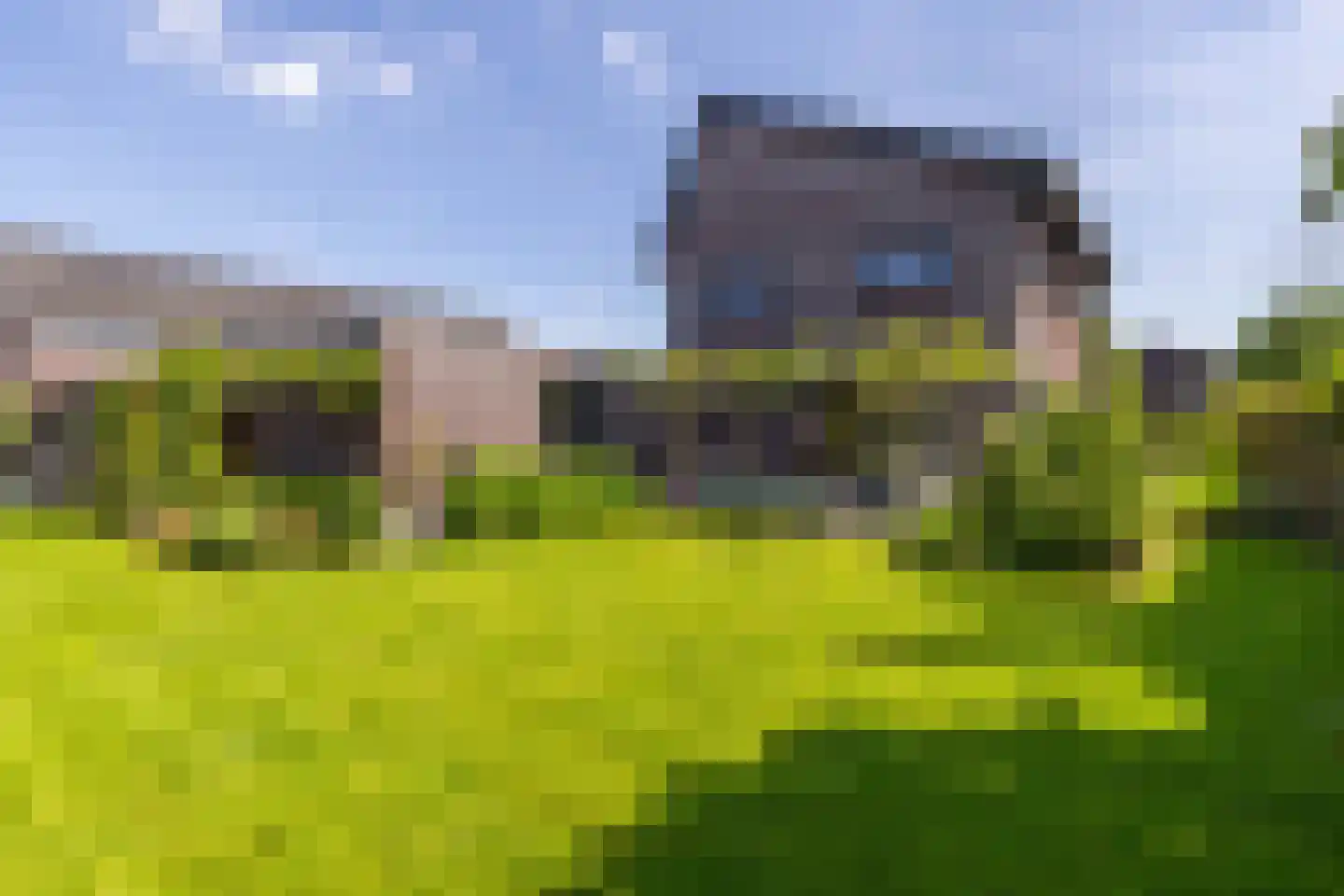 De Hartakker 3 Eelde thumbnail 7