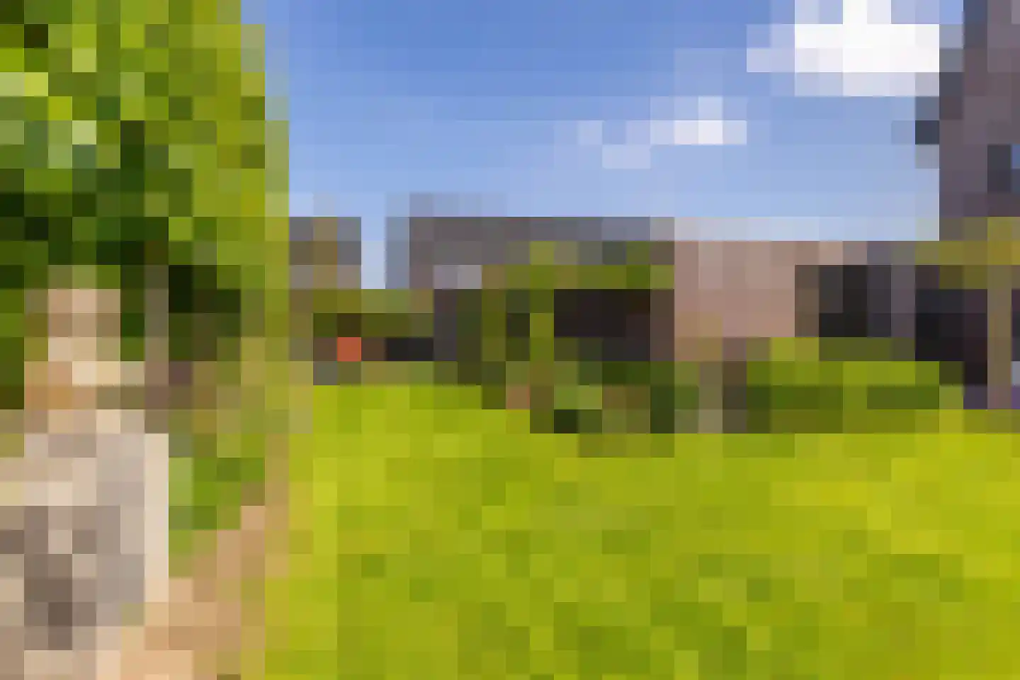 De Hartakker 3 Eelde thumbnail 8