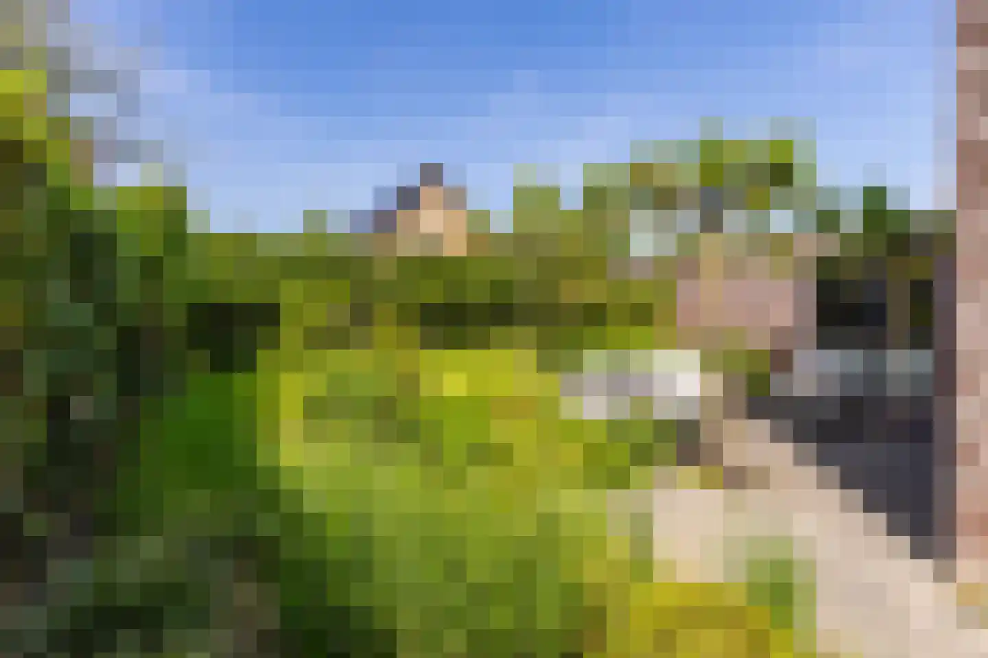 De Hartakker 3 Eelde thumbnail 9