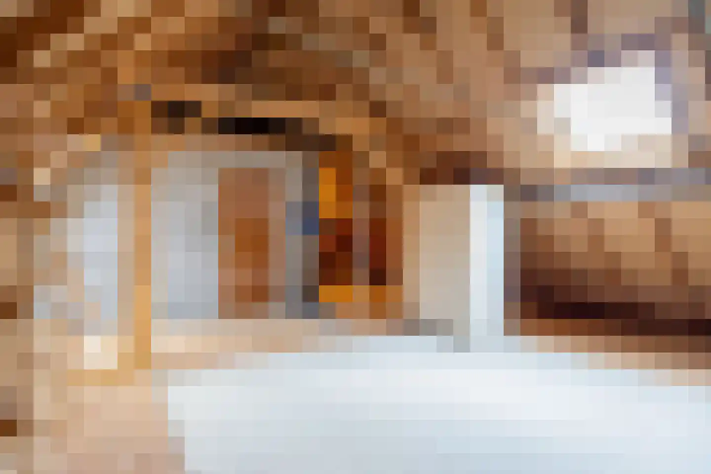 de Haspel 24 Zevenhuizen thumbnail 27