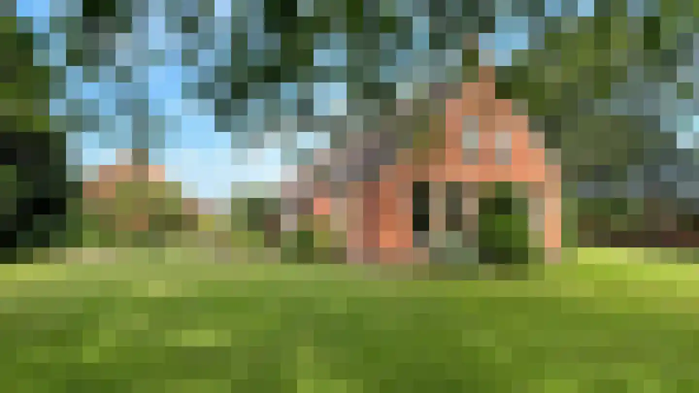 de Haspel 24 Zevenhuizen thumbnail 29