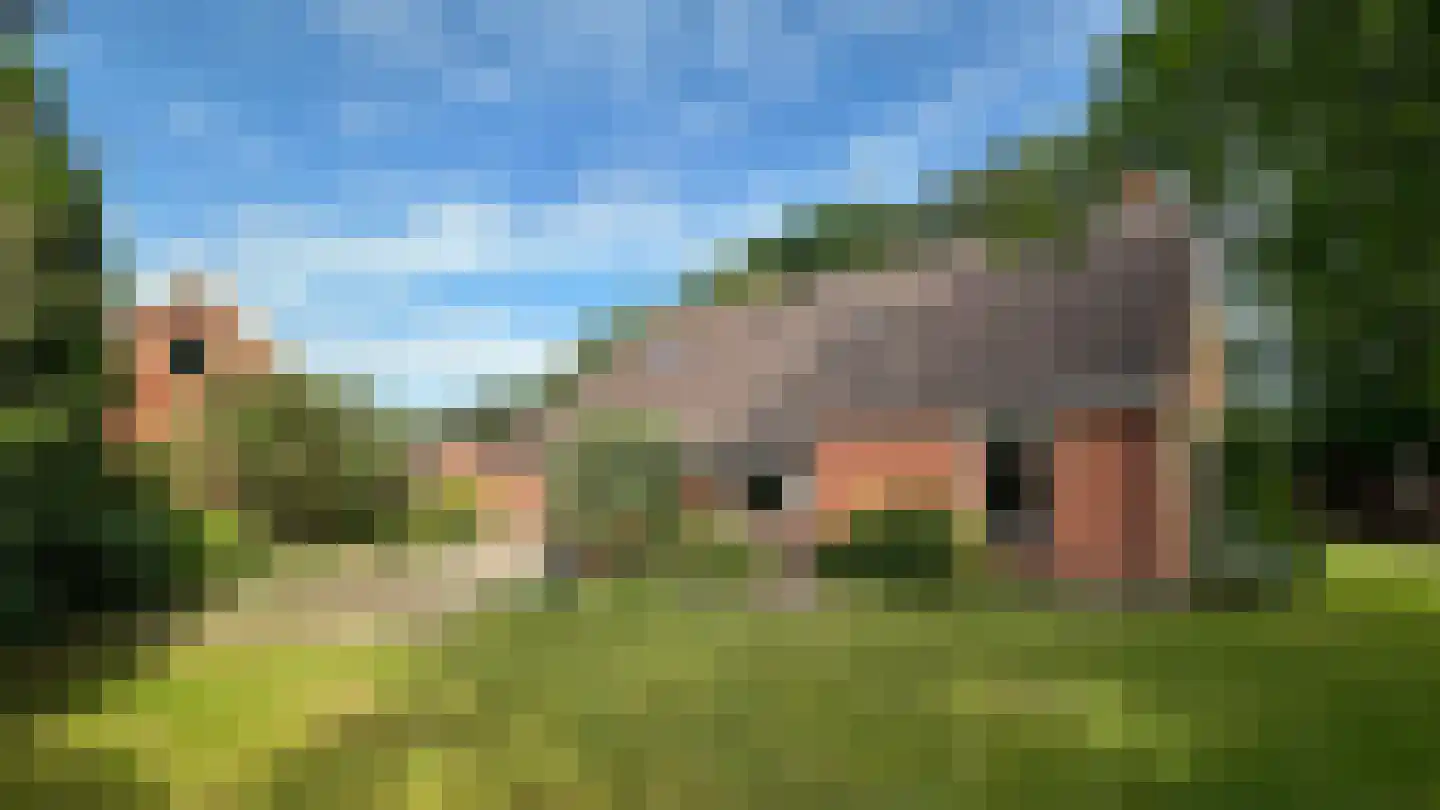de Haspel 24 Zevenhuizen thumbnail 30