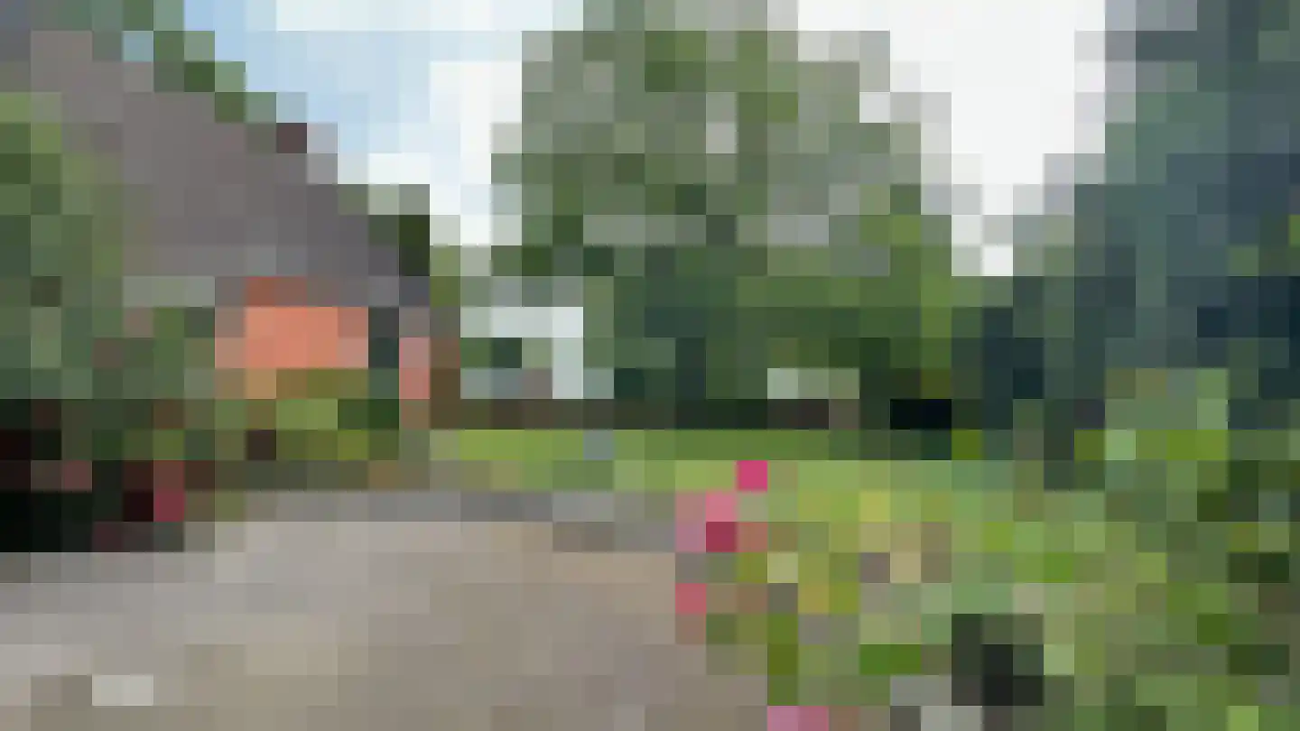 de Haspel 24 Zevenhuizen thumbnail 31