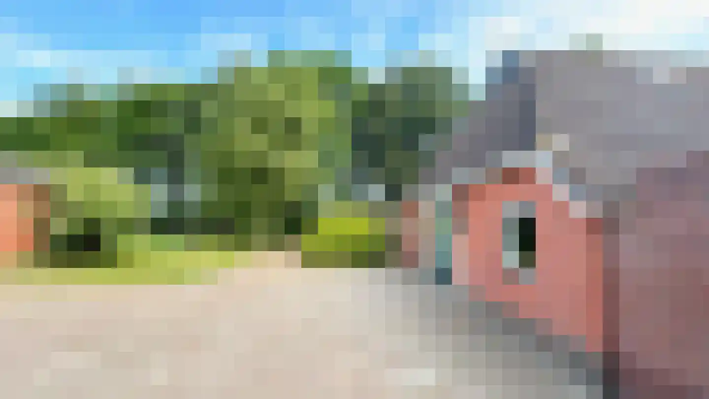 de Haspel 24 Zevenhuizen thumbnail 33