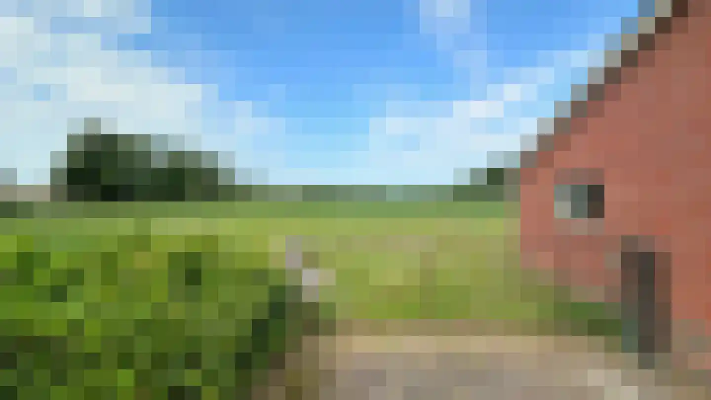 de Haspel 24 Zevenhuizen thumbnail 38