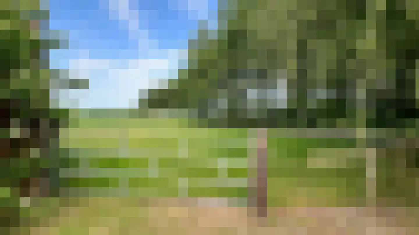 de Haspel 24 Zevenhuizen thumbnail 40