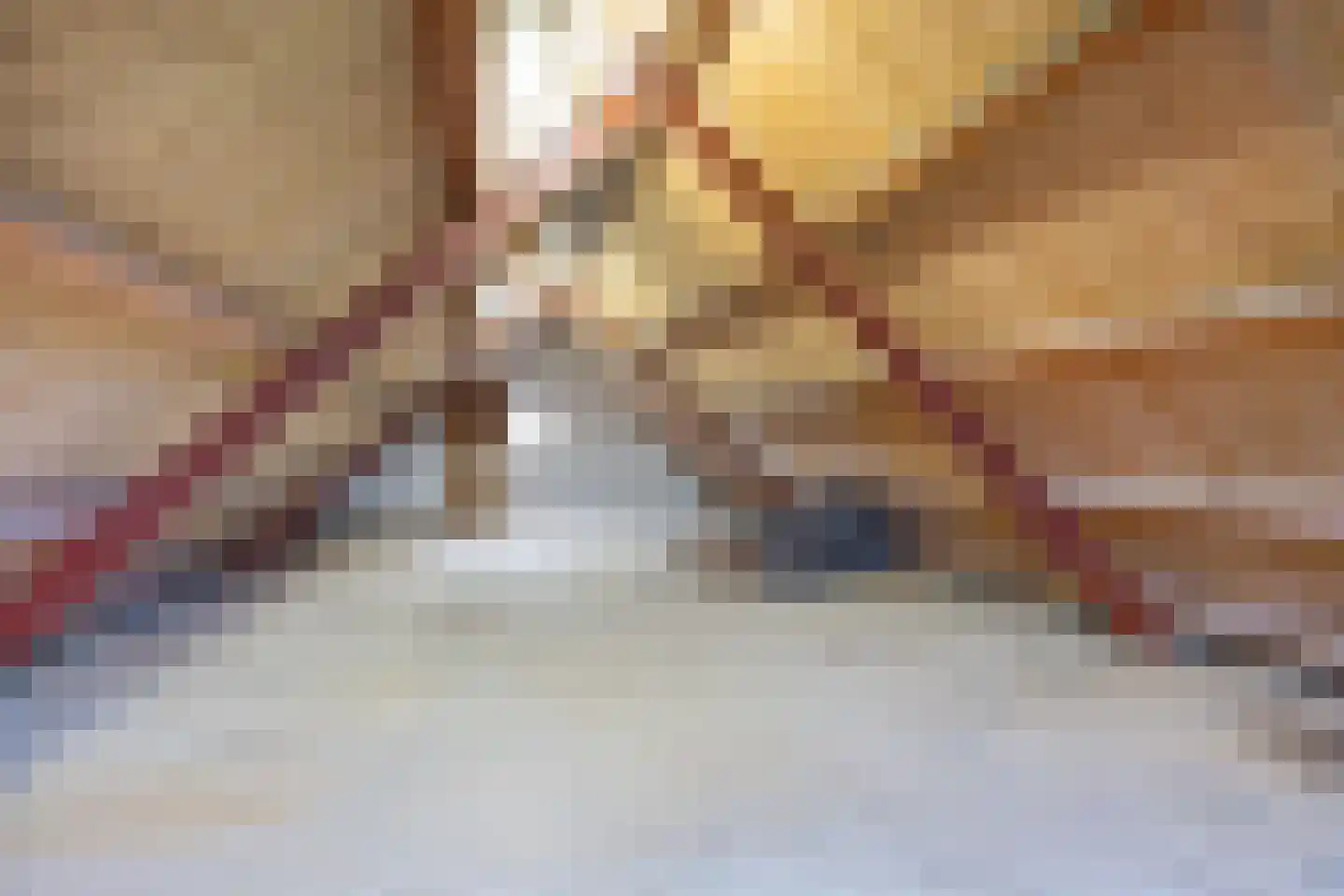 de Haspel 24 Zevenhuizen thumbnail 42