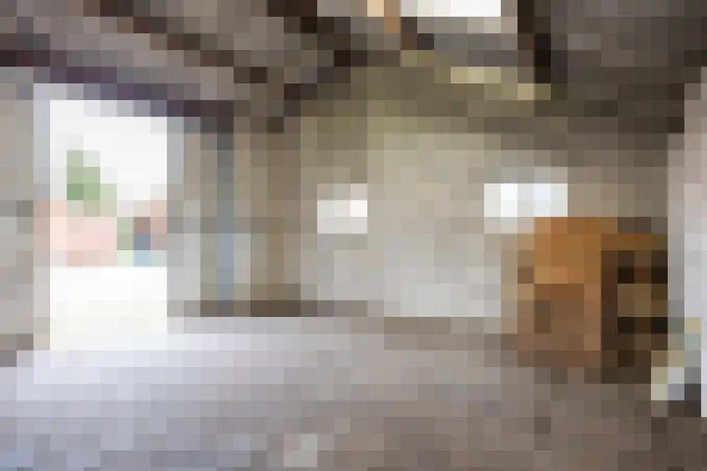 de Haspel 24 Zevenhuizen thumbnail 43