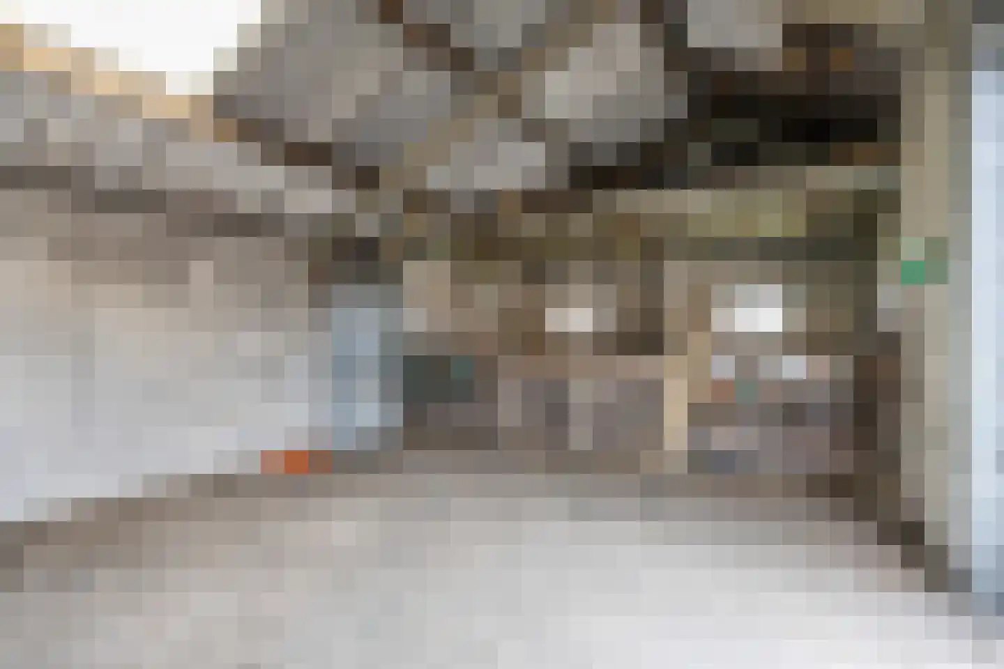 de Haspel 24 Zevenhuizen thumbnail 44