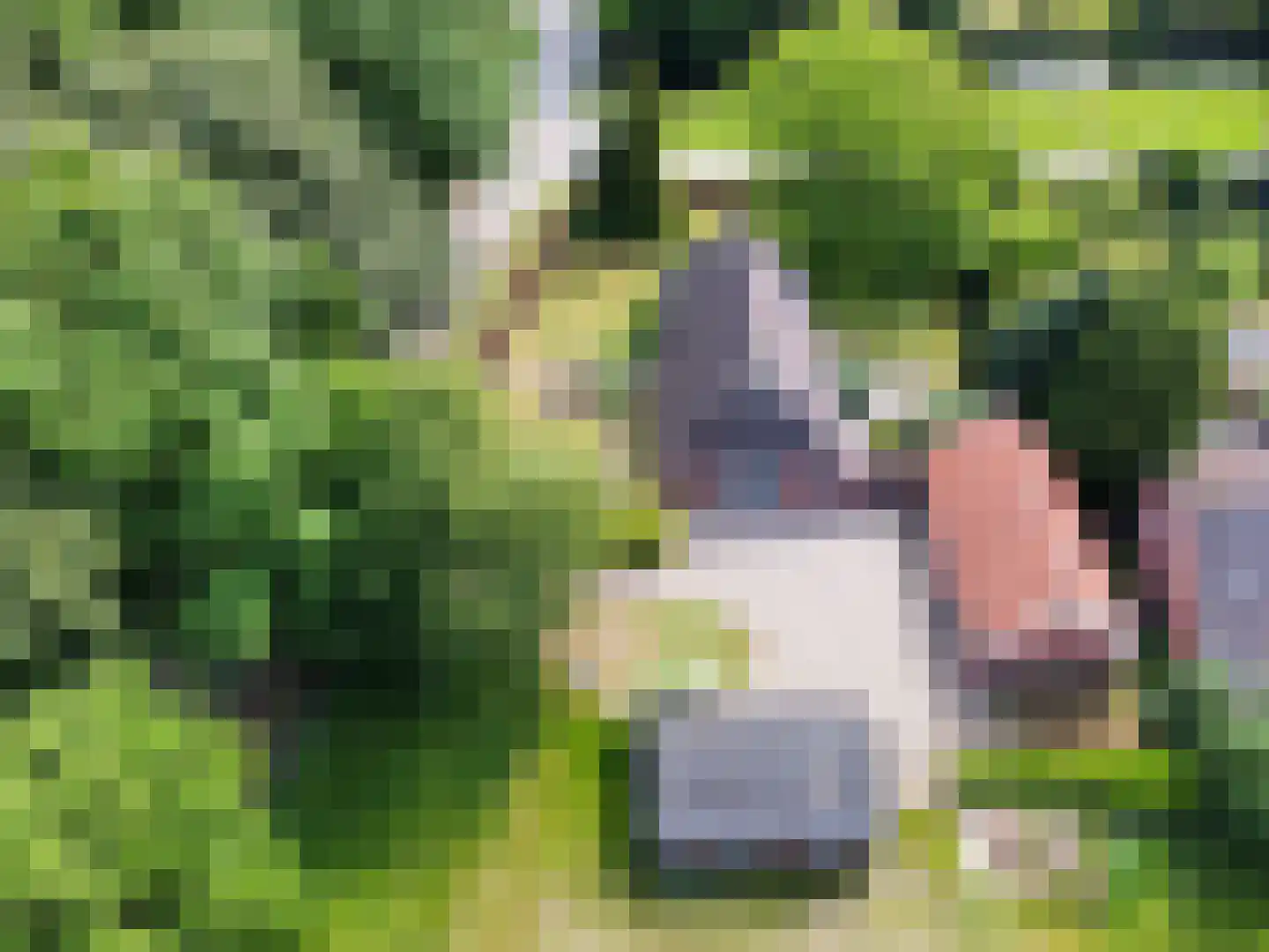 de Haspel 24 Zevenhuizen thumbnail 47