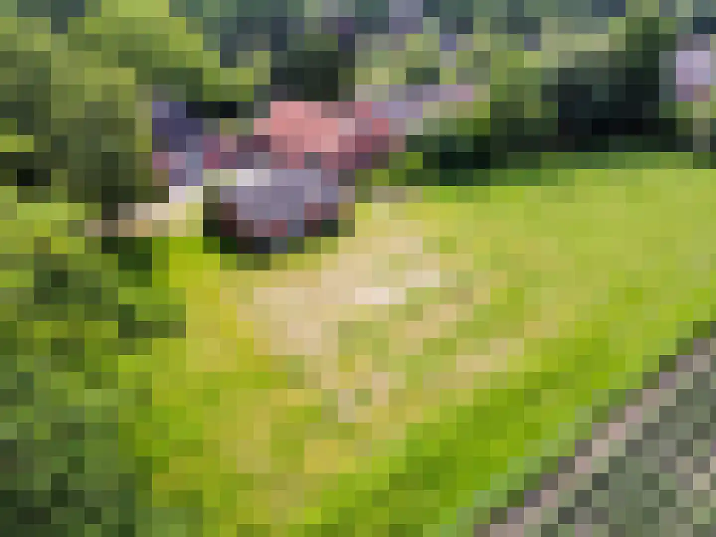 de Haspel 24 Zevenhuizen thumbnail 48