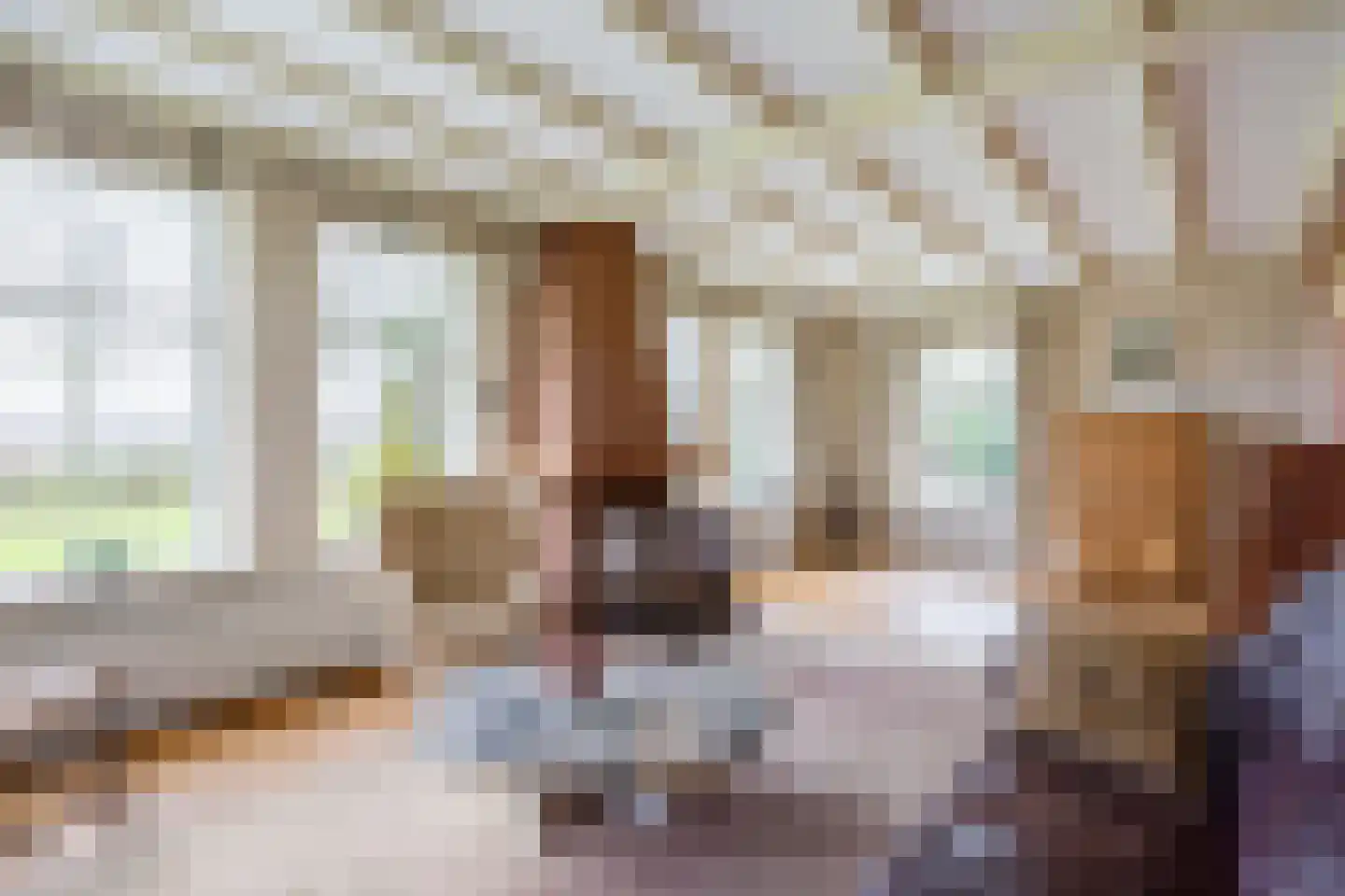 de Haspel 24 Zevenhuizen thumbnail 6