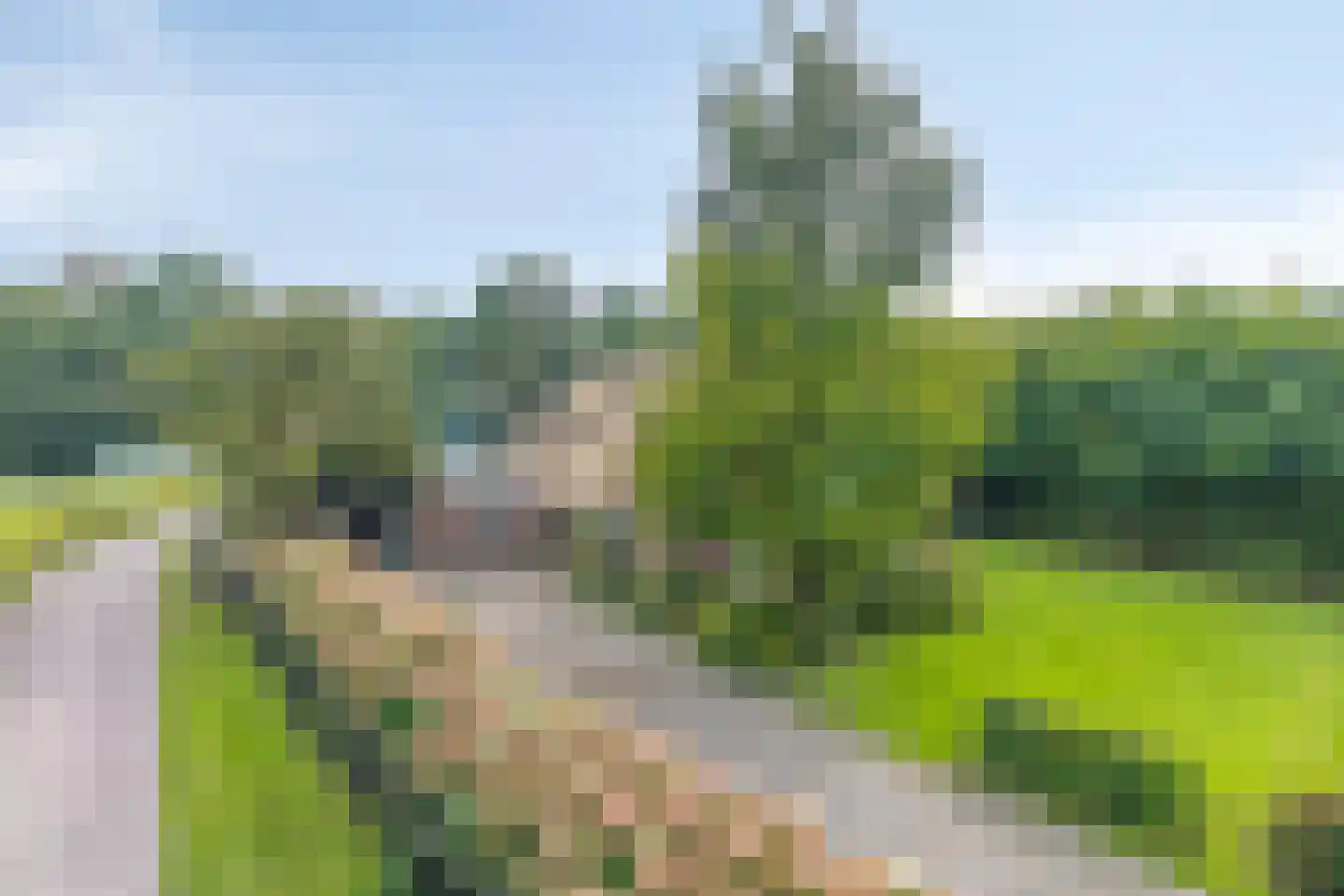 de Haspel 27 Zevenhuizen thumbnail 12