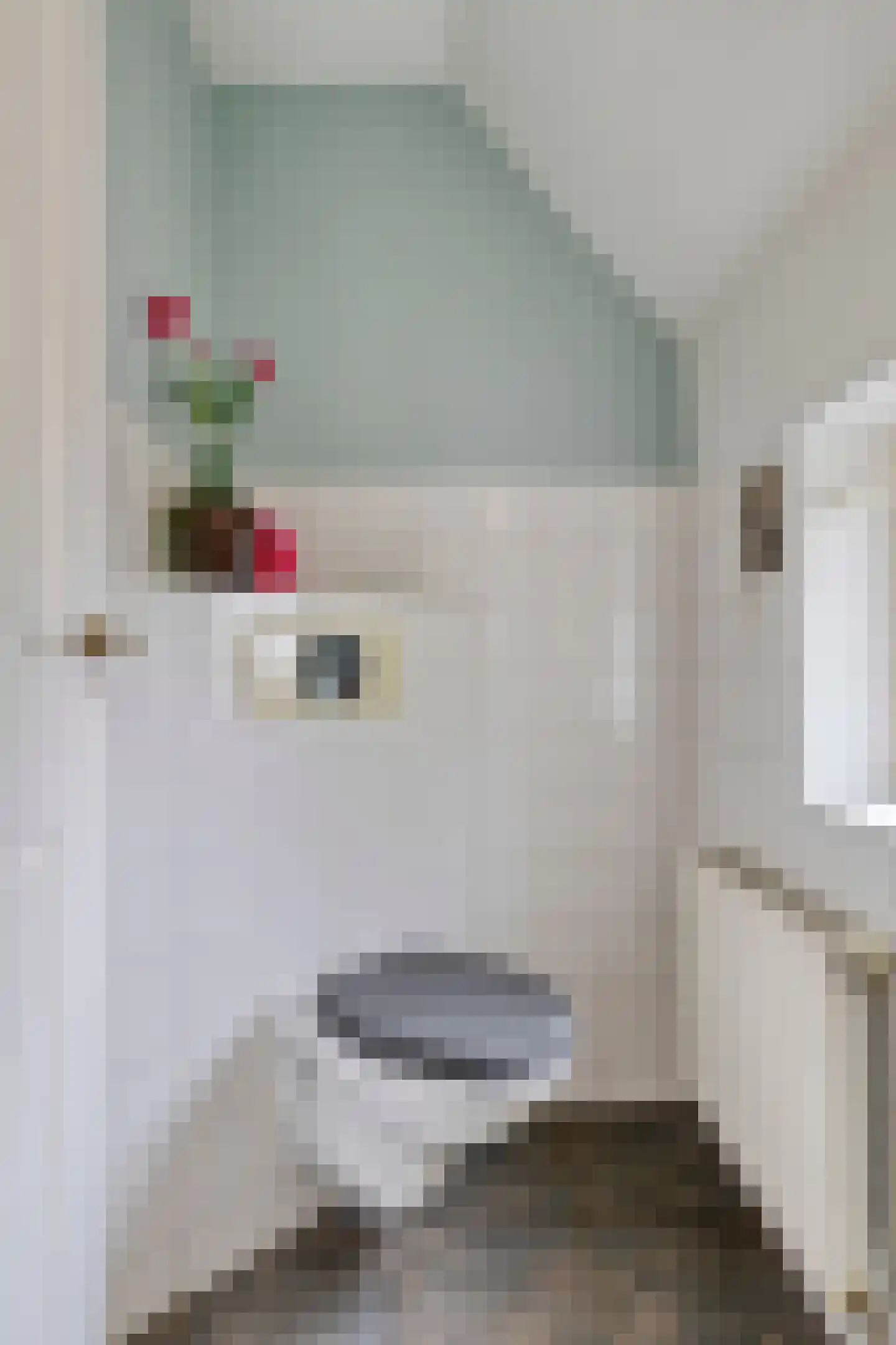 de Haspel 27 Zevenhuizen thumbnail 18