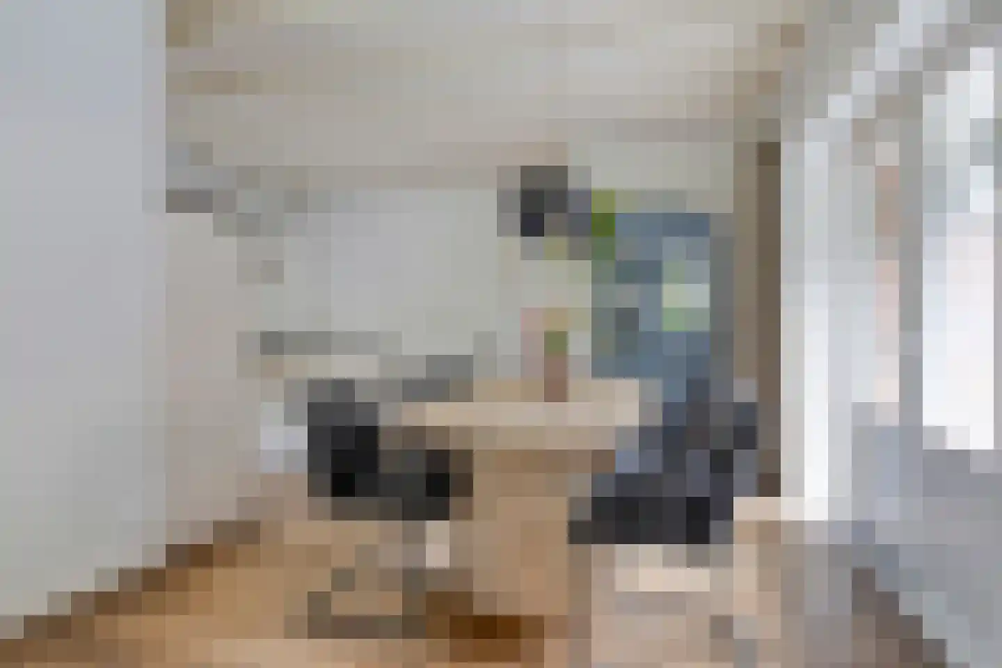 de Haspel 27 Zevenhuizen thumbnail 25