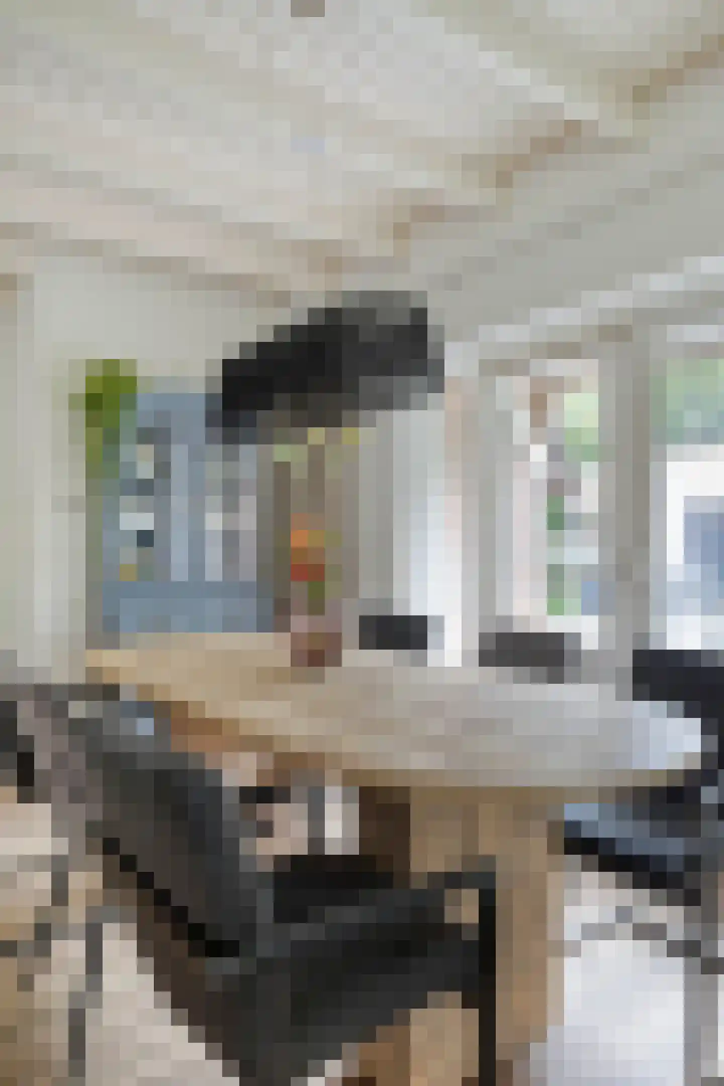 de Haspel 27 Zevenhuizen thumbnail 26