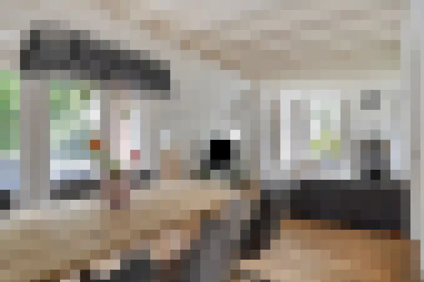 de Haspel 27 Zevenhuizen thumbnail 27