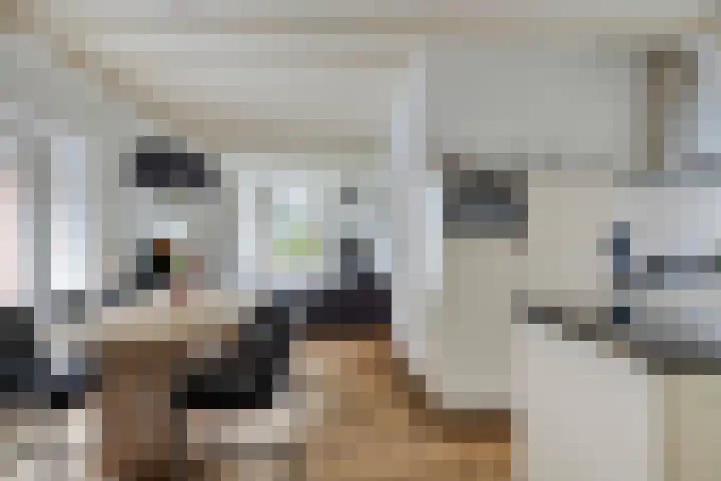 de Haspel 27 Zevenhuizen thumbnail 28