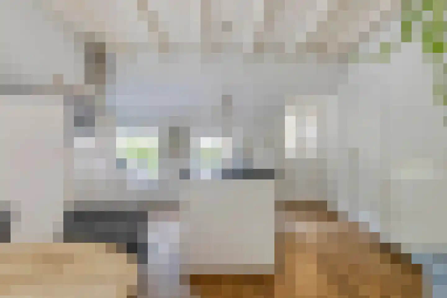 de Haspel 27 Zevenhuizen thumbnail 29