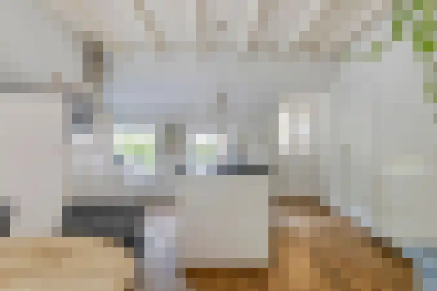 de Haspel 27 Zevenhuizen thumbnail 29
