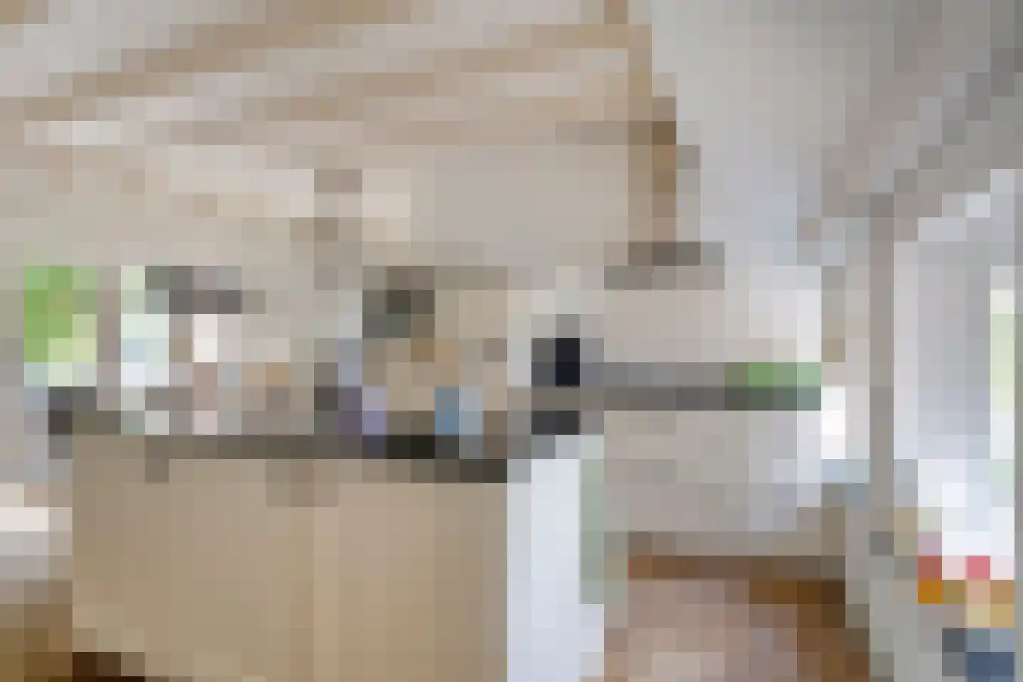de Haspel 27 Zevenhuizen thumbnail 30
