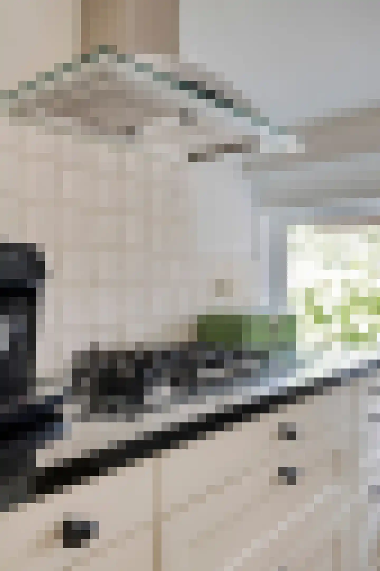 de Haspel 27 Zevenhuizen thumbnail 31