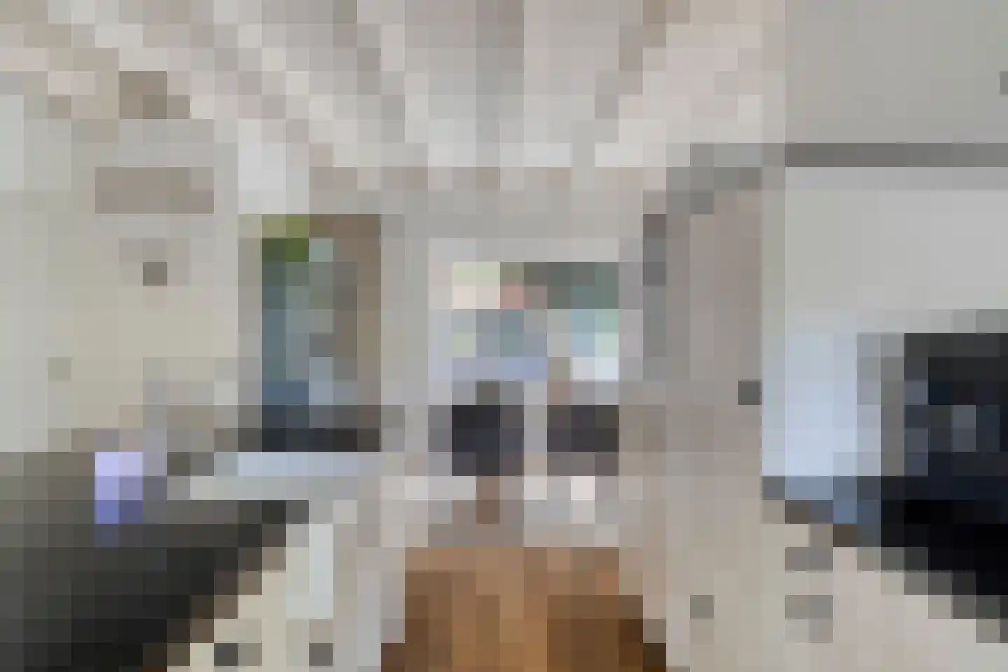 de Haspel 27 Zevenhuizen thumbnail 33