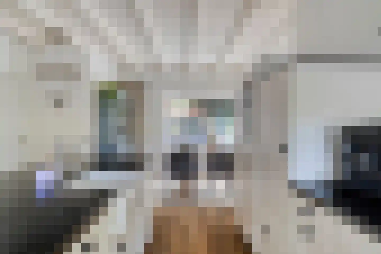 de Haspel 27 Zevenhuizen thumbnail 33