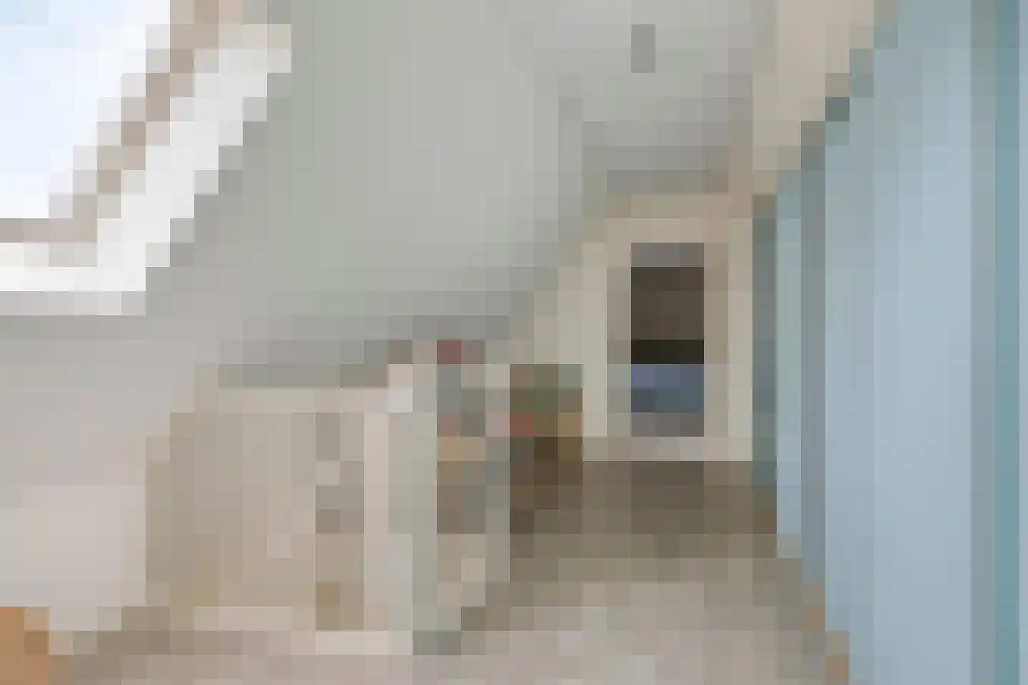 de Haspel 27 Zevenhuizen thumbnail 44