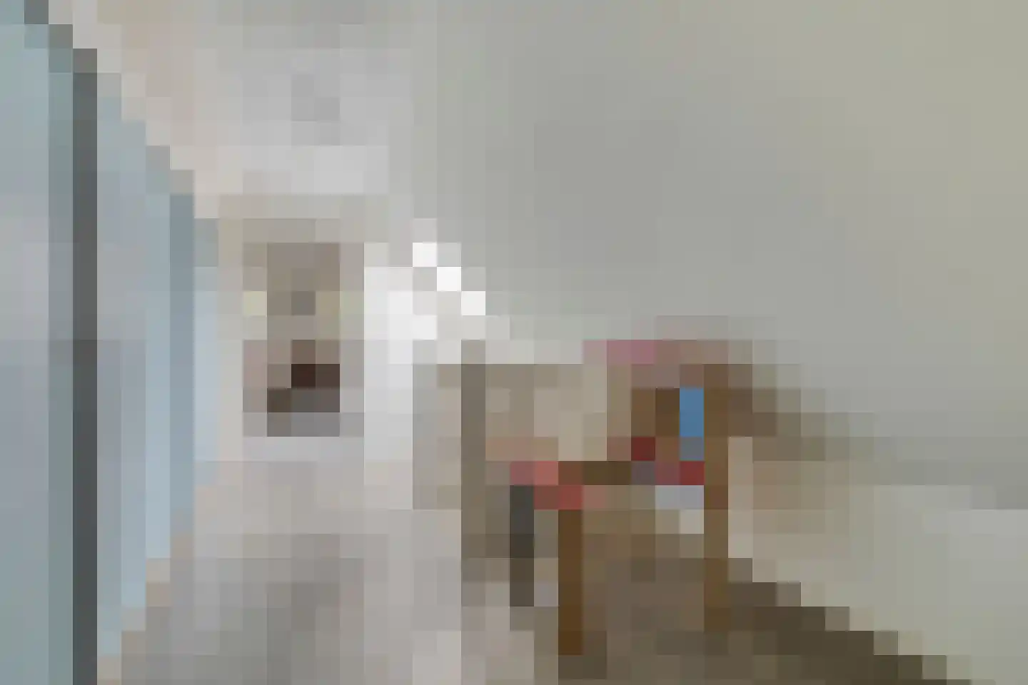 de Haspel 27 Zevenhuizen thumbnail 45
