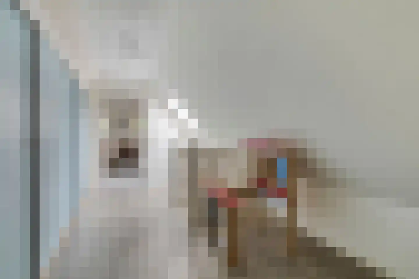 de Haspel 27 Zevenhuizen thumbnail 45