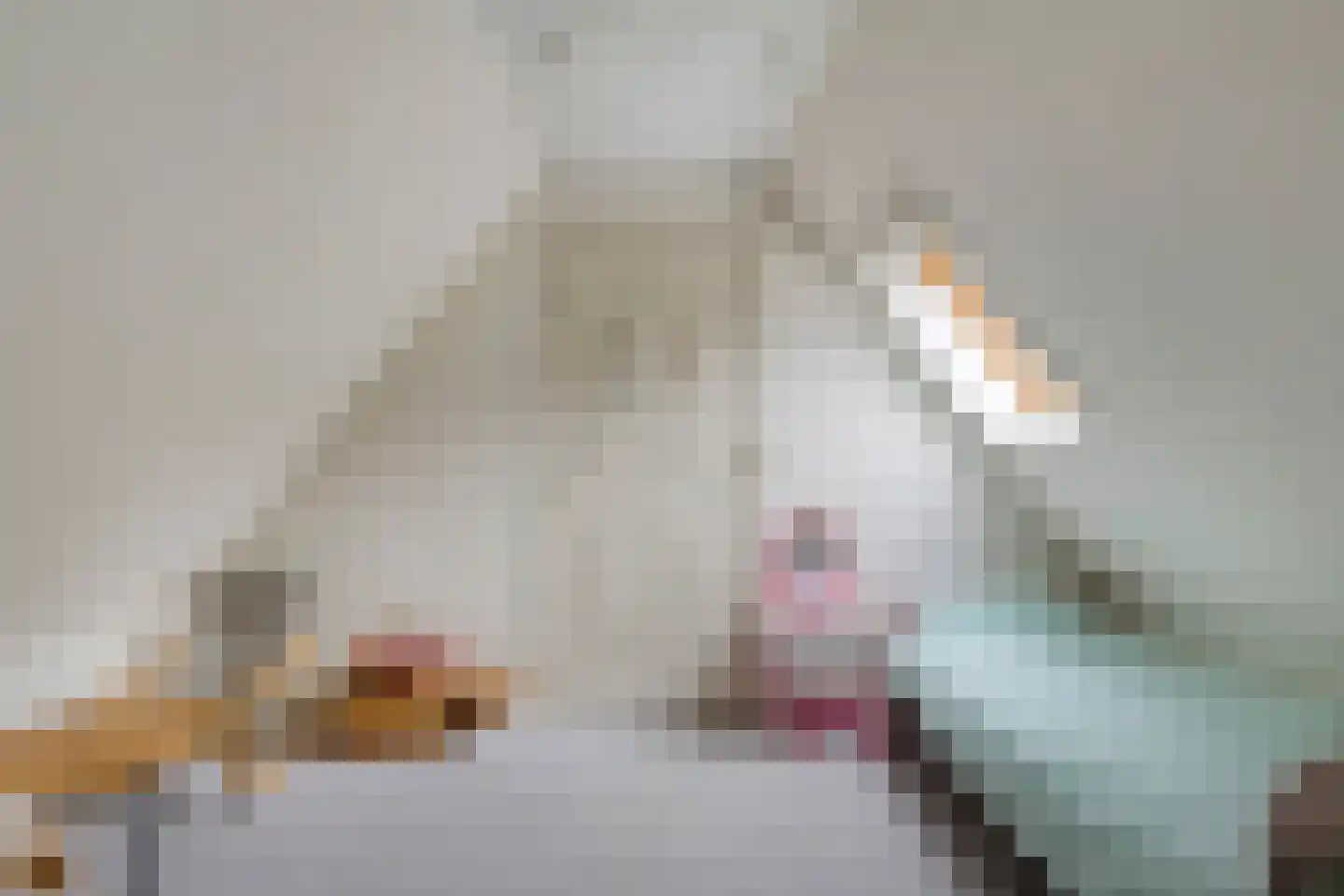 de Haspel 27 Zevenhuizen thumbnail 48
