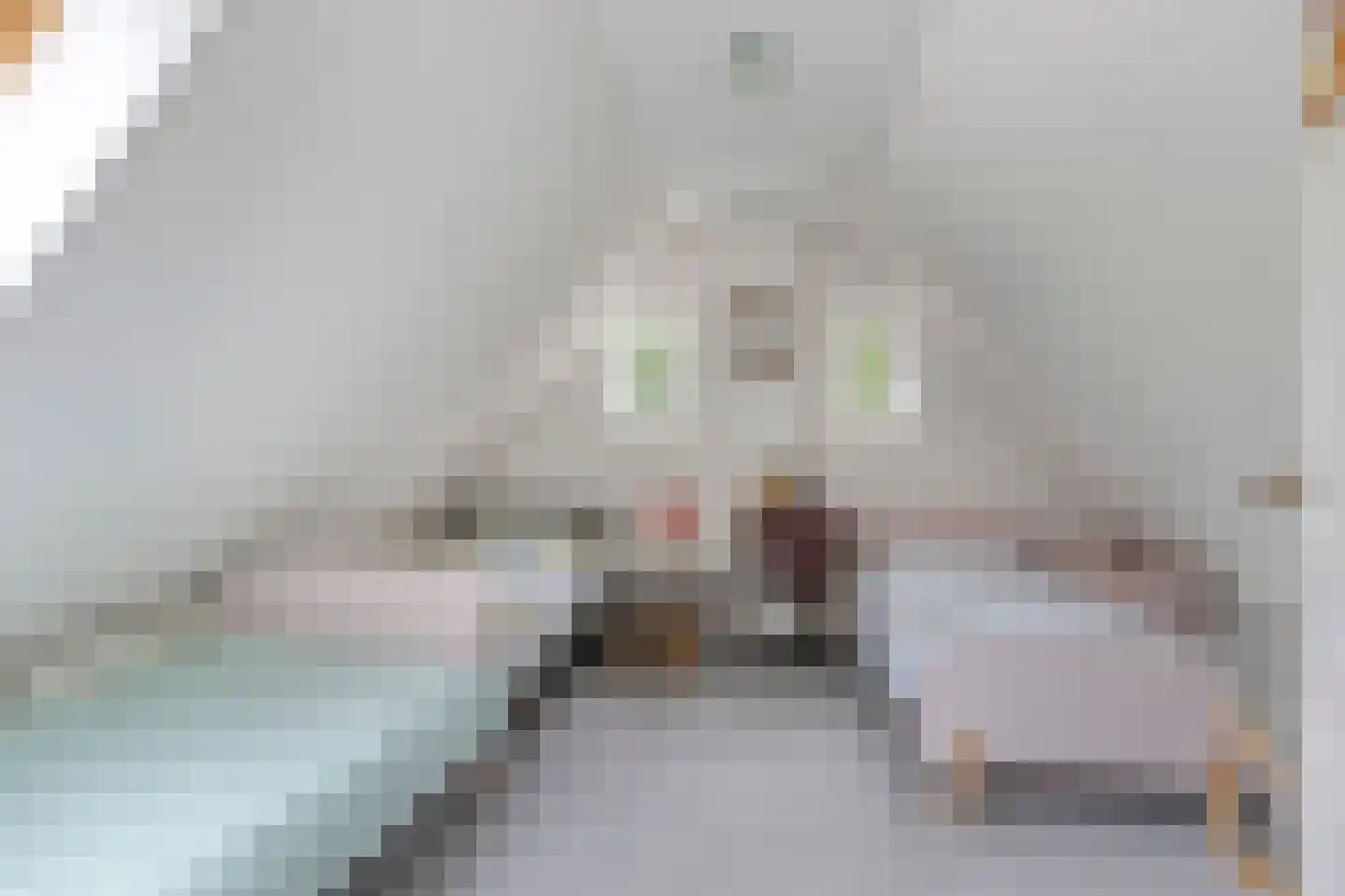 de Haspel 27 Zevenhuizen thumbnail 49
