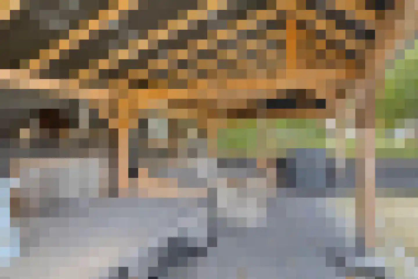 de Haspel 27 Zevenhuizen thumbnail 55